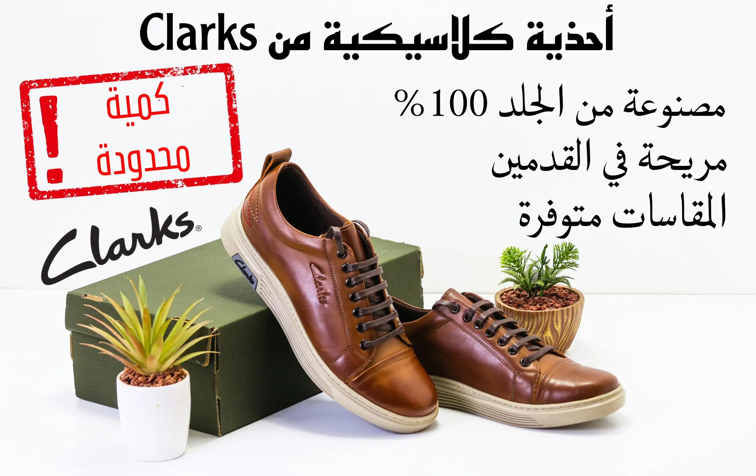 حذاء كلاسيكي مميز من Clarks